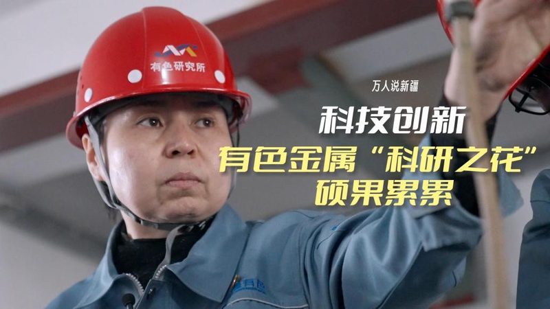 数据仓库选型：如何规避常见陷阱，确保高效决策